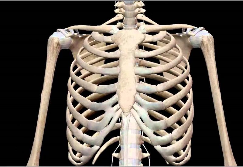 Tìm hiểu về các phương pháp đo mật độ xương